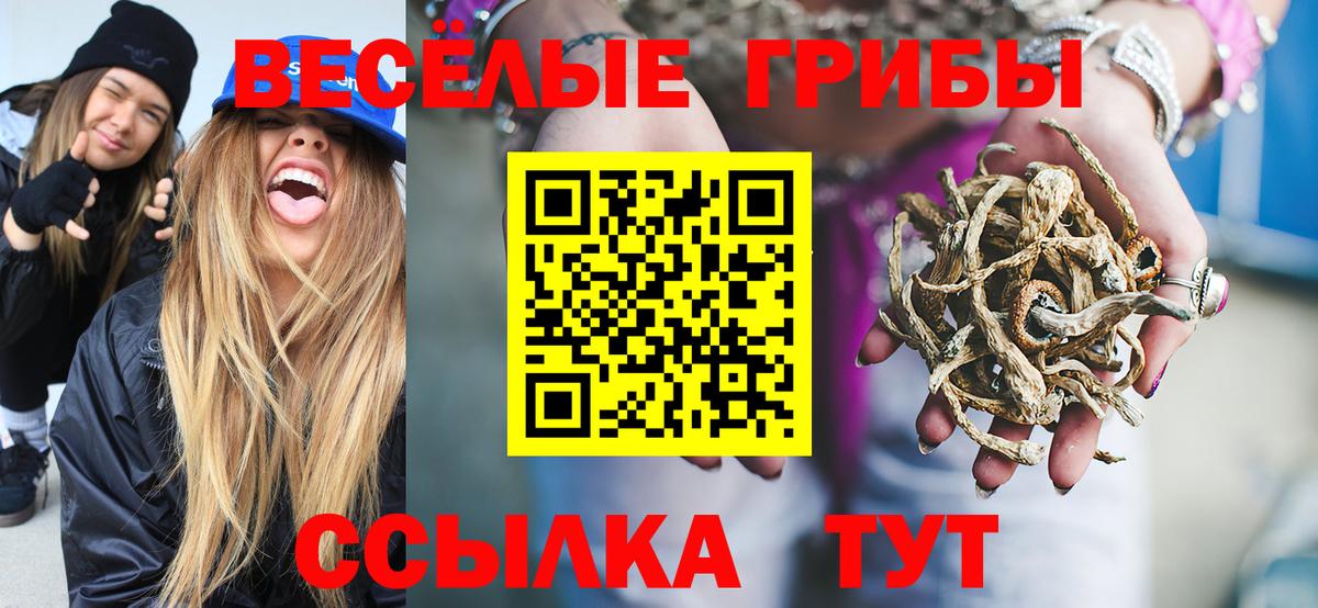Менделеевск  цена   Вход с VPN  Галлюциногенные грибы GOLDEN TEACHER 